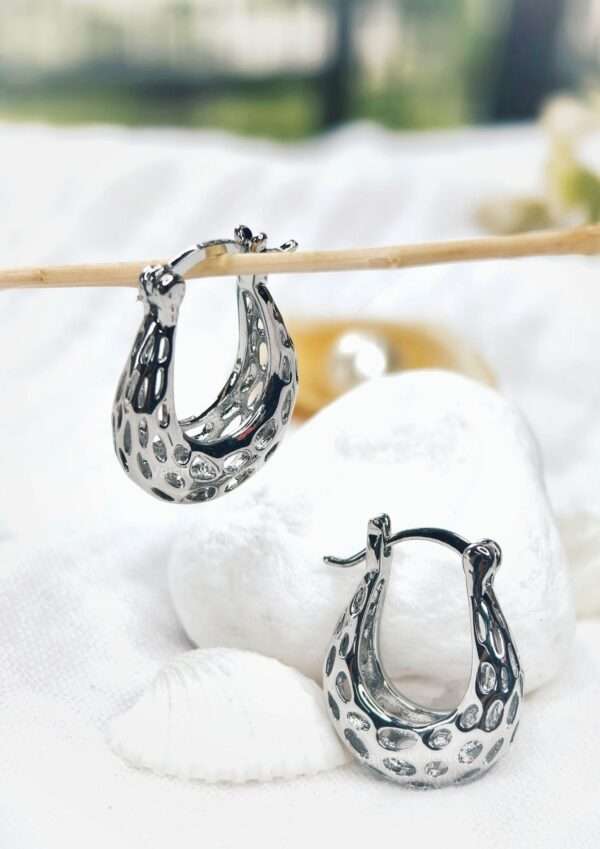 silver earrings