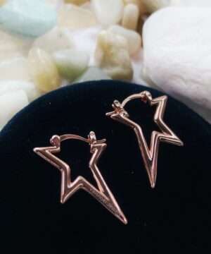 Rose gold earrings