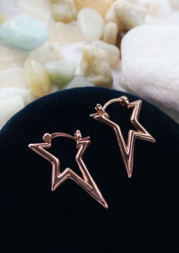 Rose gold earrings