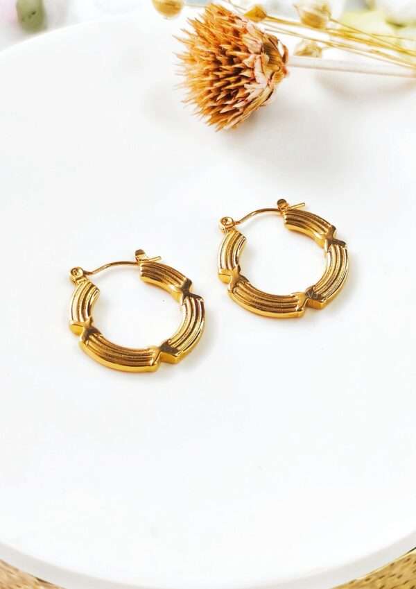 gold earrings for women Earrings for women Diamond earrings Stud earrings Gold hoop earrings